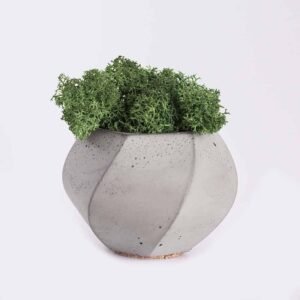 plant4-free-img Piorro Quisquam